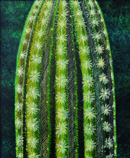 Cactus Olieverf op doek Formaat: 50 x 60 cm 